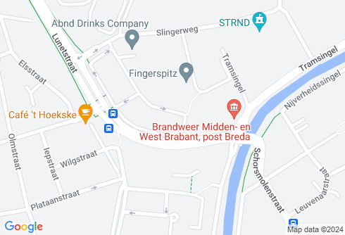 Google Maps placeholder